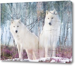   Картина Белоснежные волки