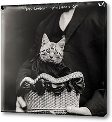   Картина Мисс Фифи, одетая в траур, 1911