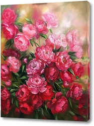  Pink roses in the garden. Floral summer background..