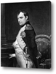   Картина Наполеон (8)
