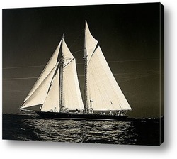  sailer-003