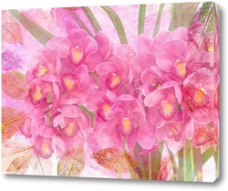  Картина Розовая Орхидея