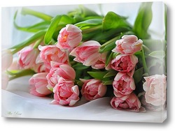    Букетик розовых тюльпанов