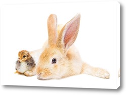   Картина Кролик и цыплёнок