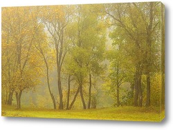   Картина Осень туманная