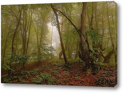   Картина Чародейский лес