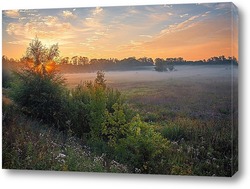   Картина Восход солнца