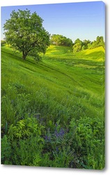   Картина Среди зеленых трав 
