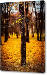   Картина Жёлтые листья на фоне чёрных стволов.