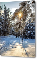   Картина Солнечный ,зимний день в лесу.