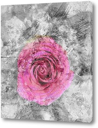    Розовая роза