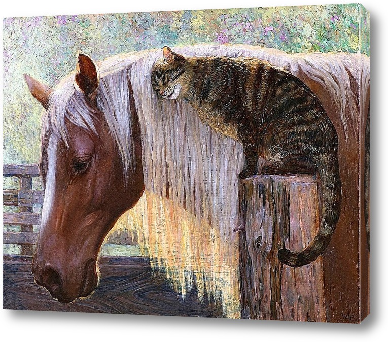 Кошка лошадка. Кот на лошади. Картина лошади и кошка. Лошадь и кошка арт. Картина кот на заборе.