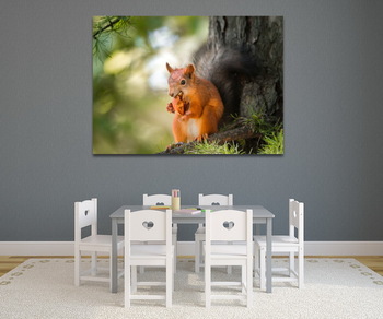 Модульная картина Squirrel in the autumn park.	