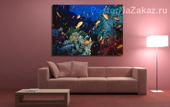 Модульная картина Fish046