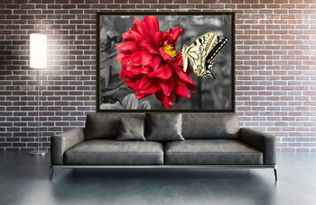Модульная картина Желтая бабочка на красном цветке