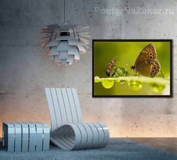 Модульная картина Бабочка и муравей с каплей воды