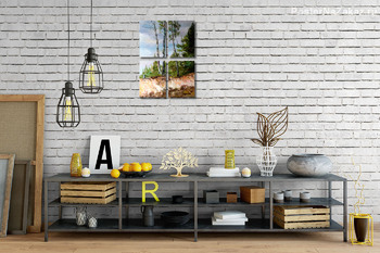 Модульная картина Березки на откосе