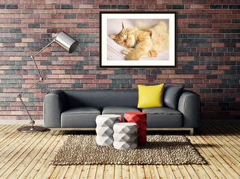 Модульная картина Спящий кот породы Мейн-Кун