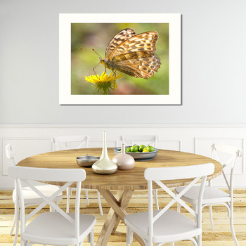 Модульная картина Бабочка на цветке 