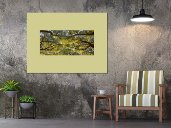 Модульная картина Кроны деревьев с ветвями и листьями