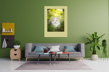 Модульная картина Серая полосатая кошка гуляет на поводке по зеленой траве на открытом воздухе..