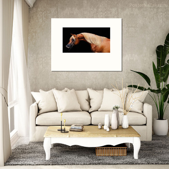 Модульная картина Изящество