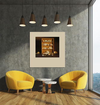 Модульная картина Коллекция ракушек 1