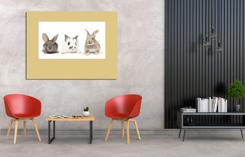 Модульная картина кролик на белом фоне