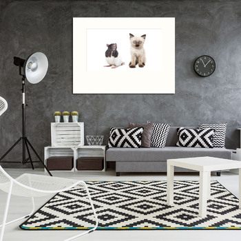 Модульная картина Animals on isolated white background