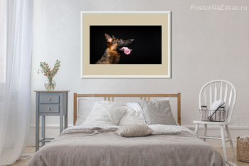 Модульная картина Немецкая овчарка