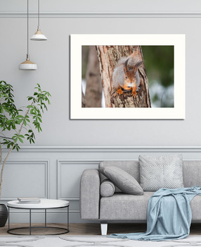Модульная картина Red squirrel sitting on a tree branch in winter forest and nibbling seeds on snow covered trees background.