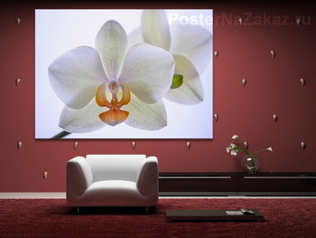 Модульная картина Нежность крупным планом