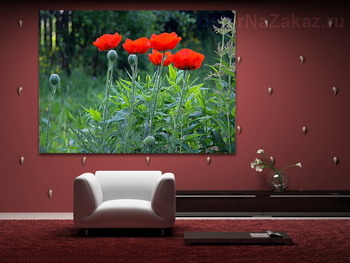 Модульная картина маки