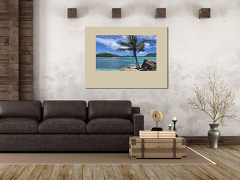 Модульная картина Тропический пейзаж с пальмой