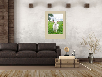 Модульная картина Белая коза в саду ест молодую сочную траву, разводит коз