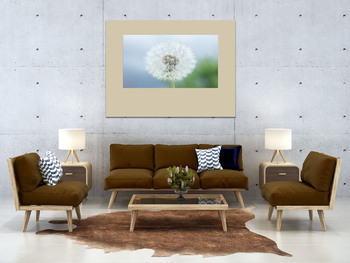 Модульная картина Dandelion seed pod in a beautiful background	