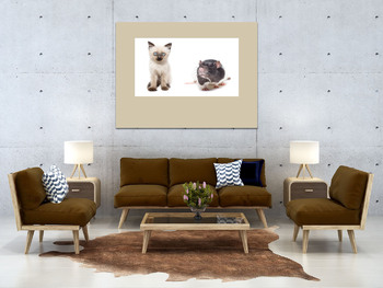 Модульная картина Animals on isolated white background