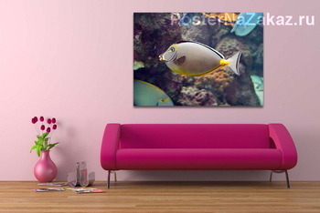 Модульная картина Fish141