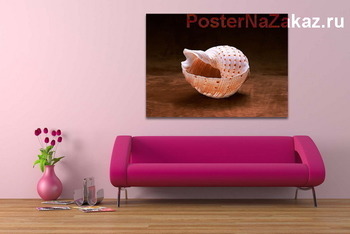 Модульная картина Shell008