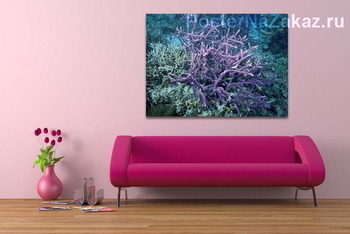 Модульная картина Coral010