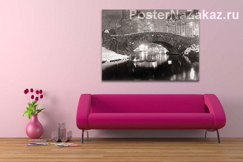 Модульная картина Центральный парк-водоём зимой,1957г.