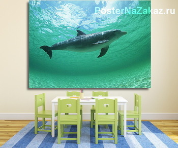 Модульная картина Dolphin105