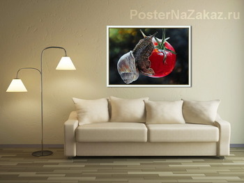 Модульная картина Улитка(Завтрак)