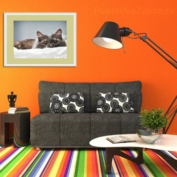 Модульная картина портрет удивленного кота