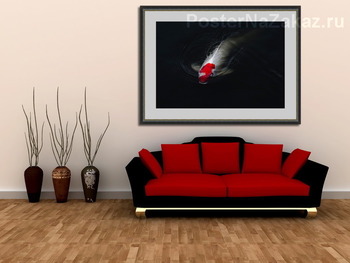 Модульная картина Koi Carpio - Японский Карп Кои