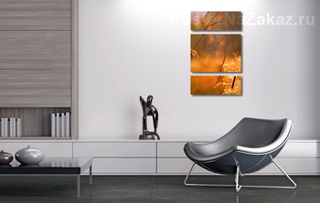 Модульная картина Паутина на стебле травы в лучах заходящего солнца