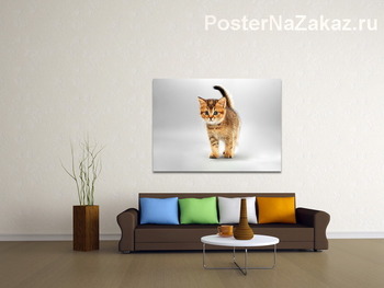 Модульная картина котик