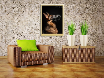 Модульная картина Немецкая овчарка