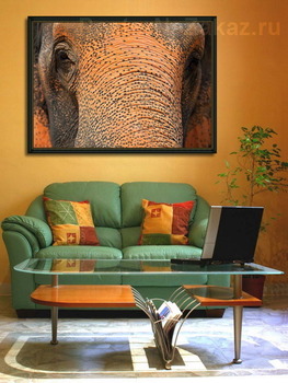 Модульная картина Старый и мудрый