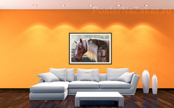 Модульная картина Кот и конь